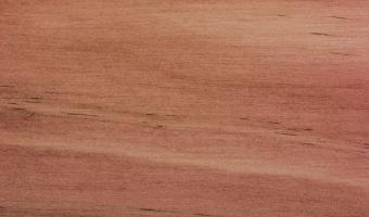 Rustins Red Mahogany Wood Dye